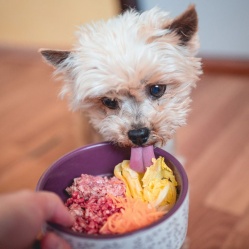 Bravčové mäso mleté 500 g