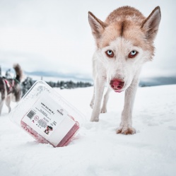 Bravčové mäso mleté 500 g