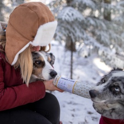 Drůbeží s rýží