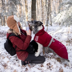 Drůbeží s rýží