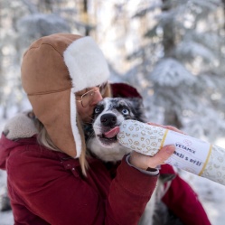 Drůbeží s rýží