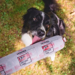 Hovädzie mäso s drobmi