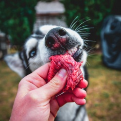 Hovězí kousky 1 kg