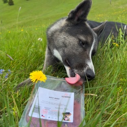 Hovězí kusové 1 kg