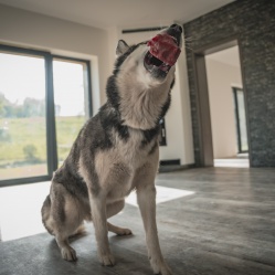 Hovězí kusové 1 kg