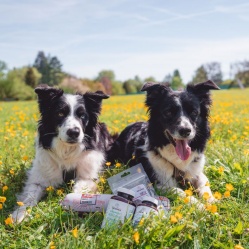 Hovězí maso hrubomleté