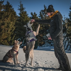 Hovězí maso JERKY Medium 50 g