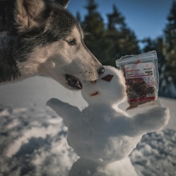 Hovězí maso JERKY Medium 50 g