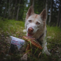 Hovězí maso JERKY Medium 50 g