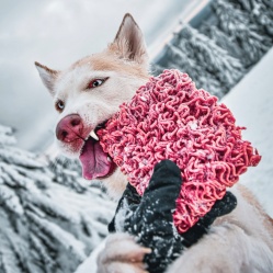 Hovězí maso mleté 500 g