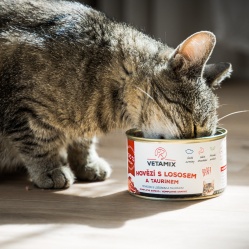 Hovězí s lososem a taurinem 400 g