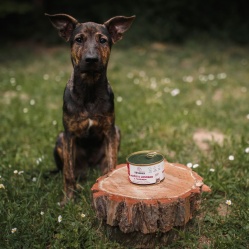 Hovězí s lososem a taurinem 400 g