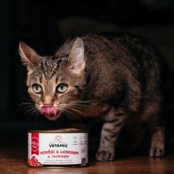 Hovězí s lososem a taurinem 400 g