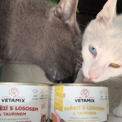 Hovězí s lososem a taurinem 400 g