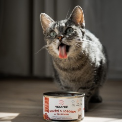 Hovězí s lososem a taurinem 400 g