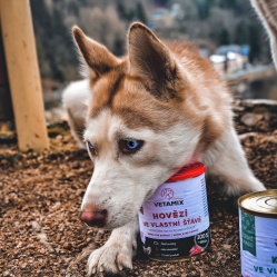 Hovězí ve vlastní šťávě 400 g