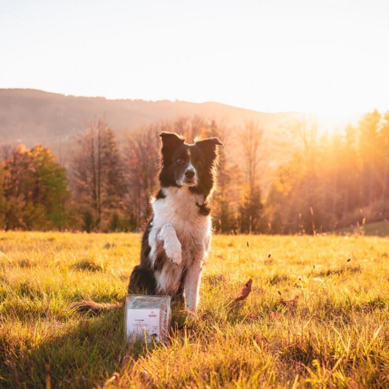 Kačacie mleté mäso: Ideálna voľba pre zdravie a vitalitu vášho miláčika