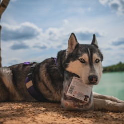 Kačacie prsia s kožou 1 kg