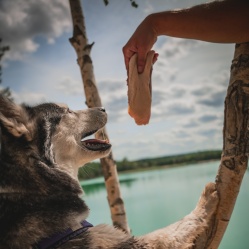 Kačacie prsia s kožou 1 kg