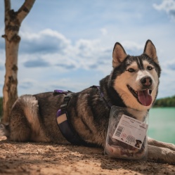 Kačacie prsia s kožou 1 kg