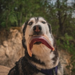 Kachní prsa s kůží 1 kg