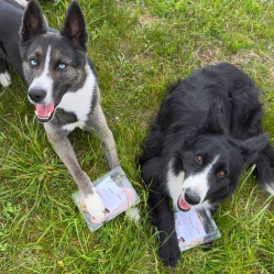 Králičí BARF 500 g