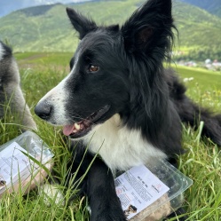 Králičí BARF 500 g