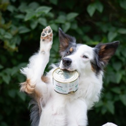 Králík ve vlastní šťávě 400 g