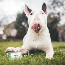 Králík ve vlastní šťávě 400 g