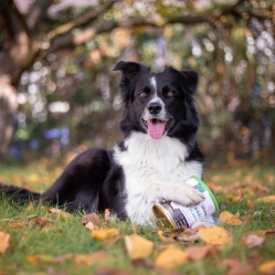 Králík ve vlastní šťávě 800 g