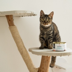 Králik vo vlastnej šťave 400 g