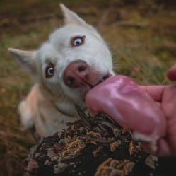 Kuracie prsia vcelku 1 kg