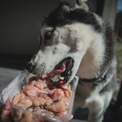 Kuracie prsia vcelku 1 kg