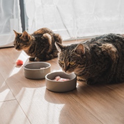 Kuracie prsia vcelku 1 kg