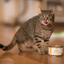 Kuracie s lososom a taurínom 400 g