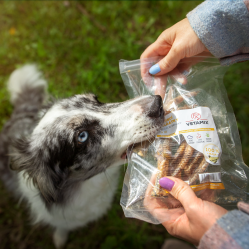 Kuřecí pařátky 5 ks