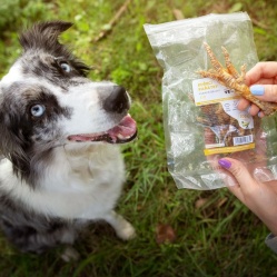 Kuřecí pařátky 5 ks