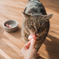 Kuřecí prsa v celku 1 kg