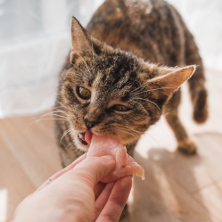 Kuřecí prsa v celku 1 kg