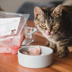 Kuřecí prsa v celku 1 kg