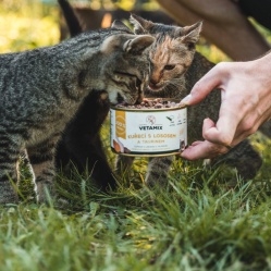 Kuřecí s lososem  a taurinem 400 g