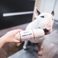 Losos s rýží 850 g