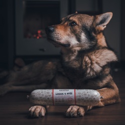 Losos s rýží 850 g