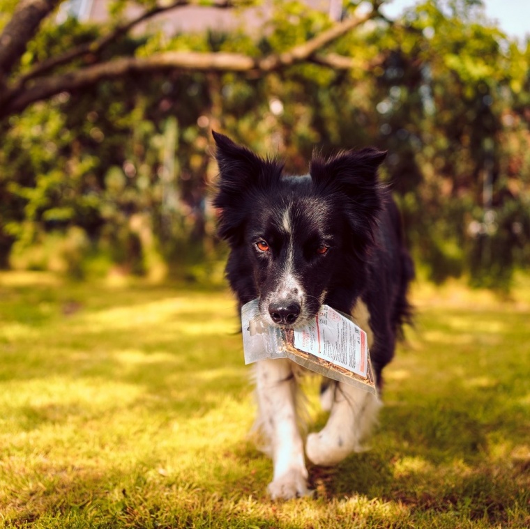 MAŠKRTY AKO ENERGIA ZBALENÁ NIELEN NA CESTY