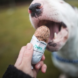 Mourek s kachnou 100 gr