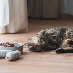 Mourek s kačkou 100 g