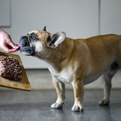 První příkrm: HOVĚZÍ JEMNĚ MLETÉ 1 kg