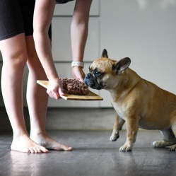 První příkrm: HOVĚZÍ JEMNĚ MLETÉ 1 kg