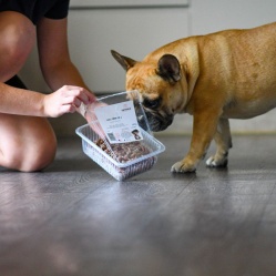 První příkrm: HOVĚZÍ JEMNĚ MLETÉ 1 kg