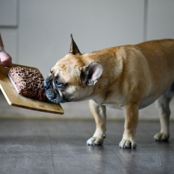 První příkrm: HOVĚZÍ JEMNĚ MLETÉ 1 kg